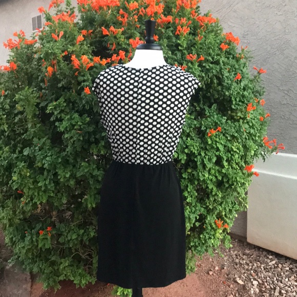 Corey P Draped Fitted Waist Dress Size Medium - Picture 5 of 8